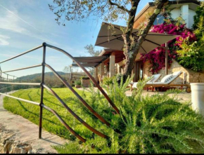 A CASA DI OLIVO Castelnuovo Magra